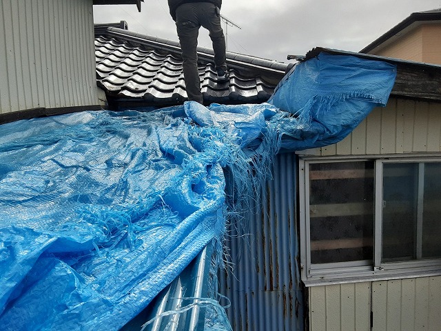 雨漏りの応急処置でブルーシート養生